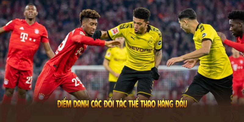 Điểm qua các thông tin quan trọng khi tham gia sảnh thể thao WW88