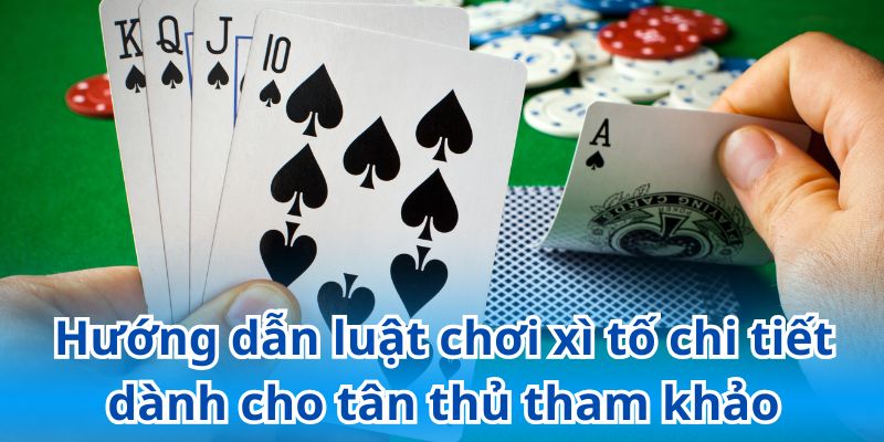 Hướng dẫn luật chơi xì tố chi tiết dành cho tân thủ tham khảo